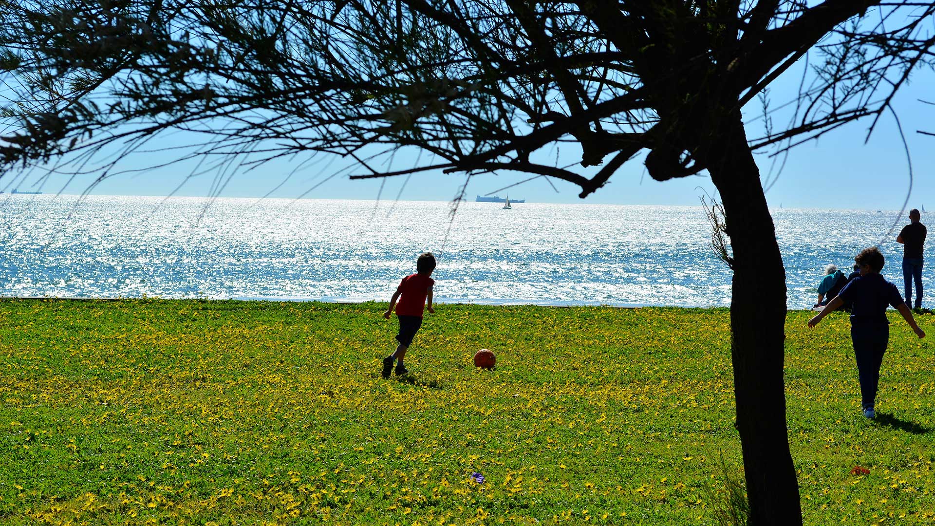 football Porto, Portugal