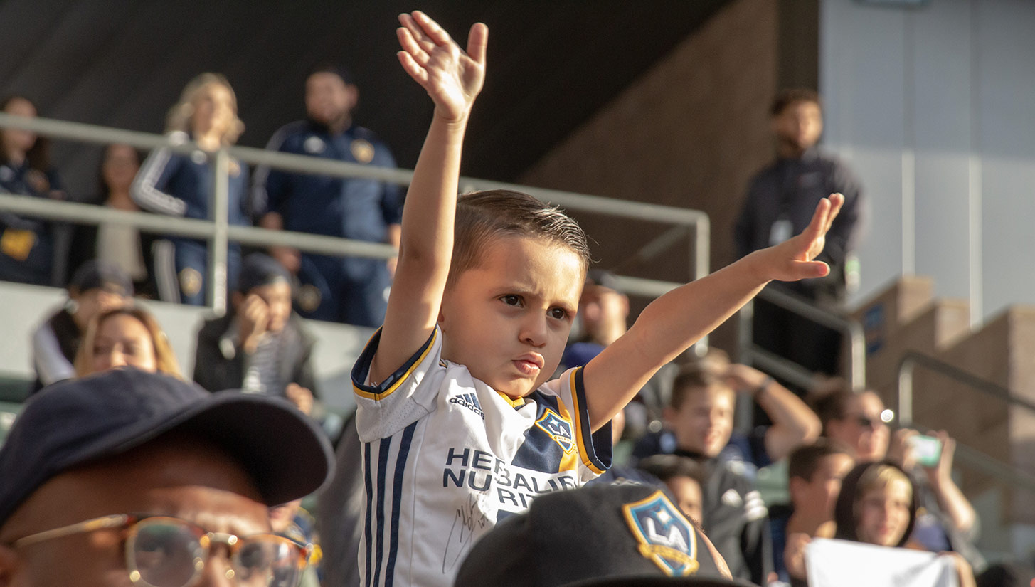 la galaxy supporters