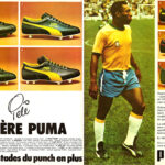 pele-puma
