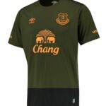 everton-2015-16-third