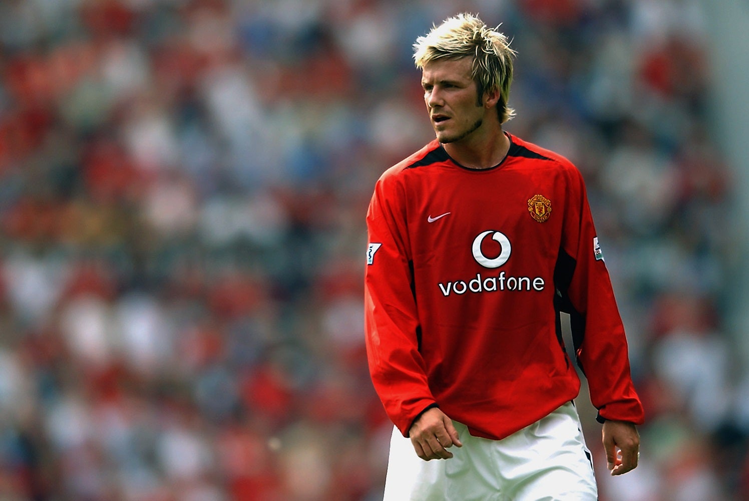 david beckham 