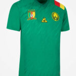cameroon home