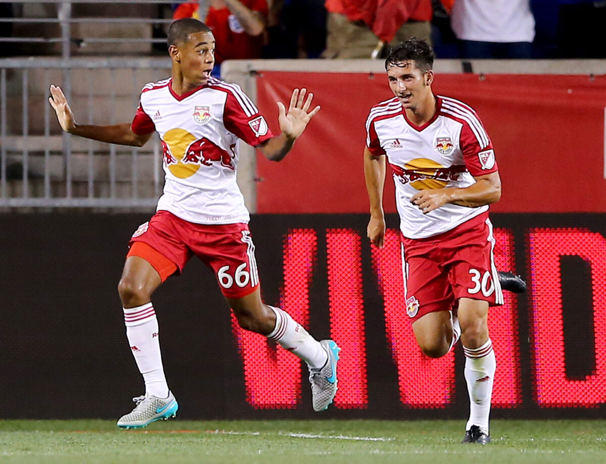 tyler adams red bull new york
